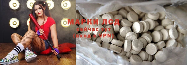 PSILOCYBIN Алзамай