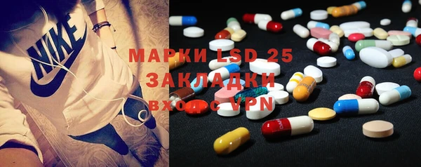 PSILOCYBIN Алзамай
