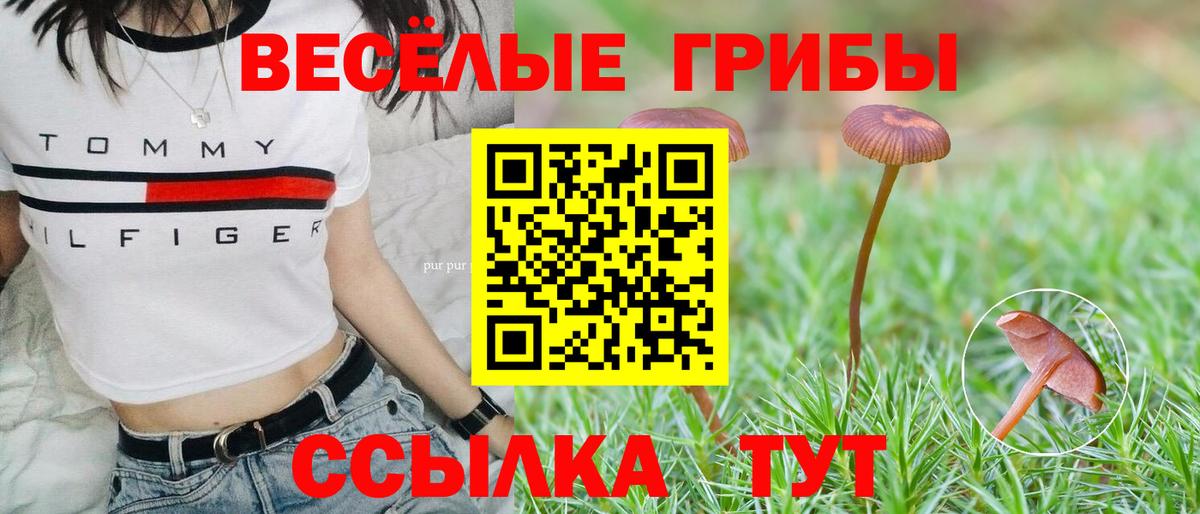 Сухой Лог  Псилоцибиновые грибы прущие грибы  Галлюциногенные грибы Magic Shrooms  Вход с VPN 